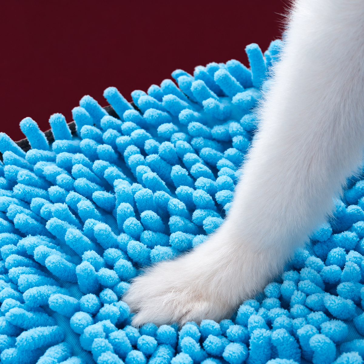 Blue chenille towel texture beneath a white dog's paw